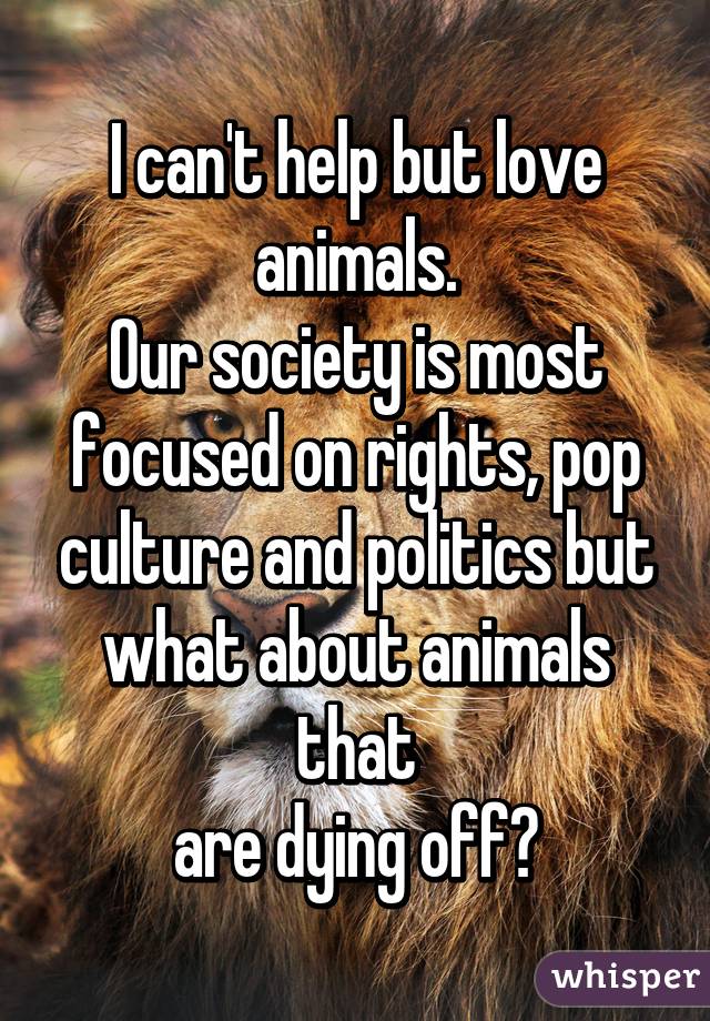 I can't help but love animals.
Our society is most focused on rights, pop culture and politics but what about animals that
 are dying off? 