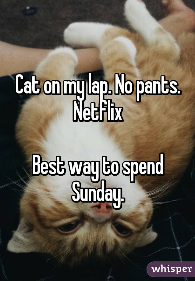 Cat on my lap. No pants. Netflix

Best way to spend Sunday.