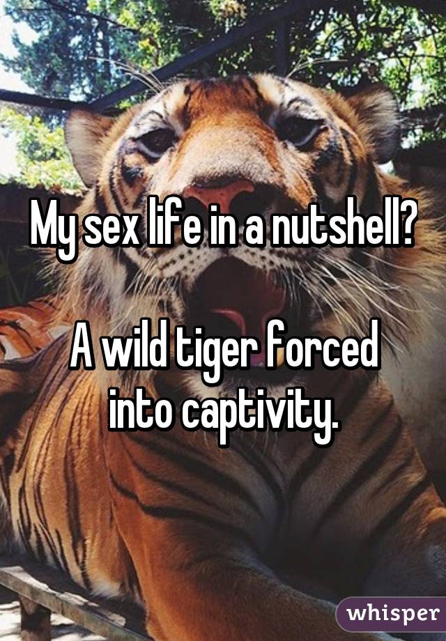 My sex life in a nutshell? 
A wild tiger forced into captivity.