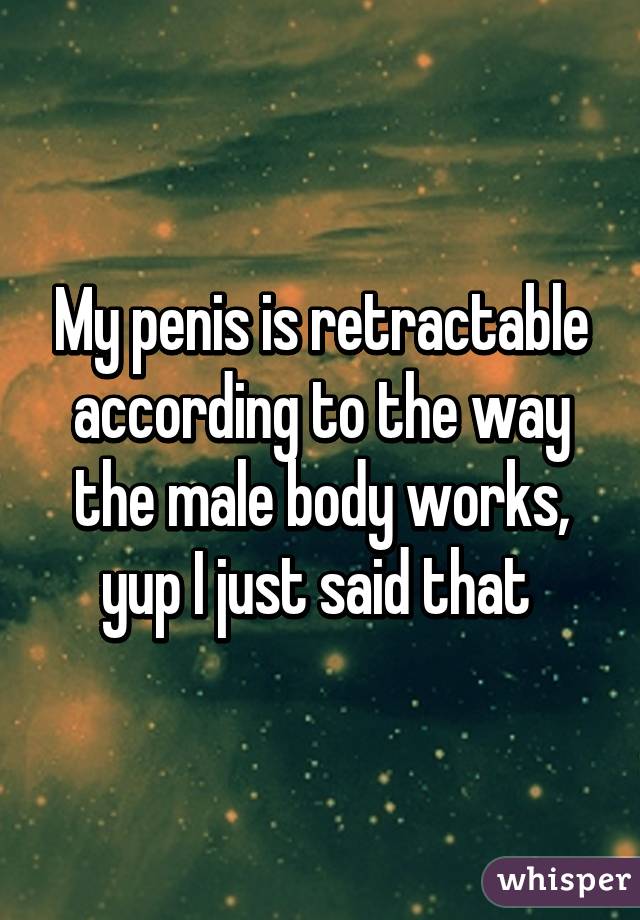 My penis is retractable according to the way the male body works, yup I just said that 