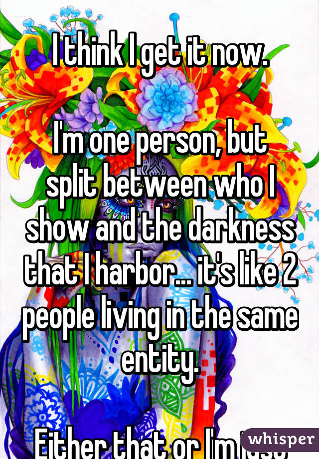 Gemini: the twins.

I think I get it now.

I'm one person, but split between who I show and the darkness that I harbor... it's like 2 people living in the same entity.

Either that or I'm just drunk..