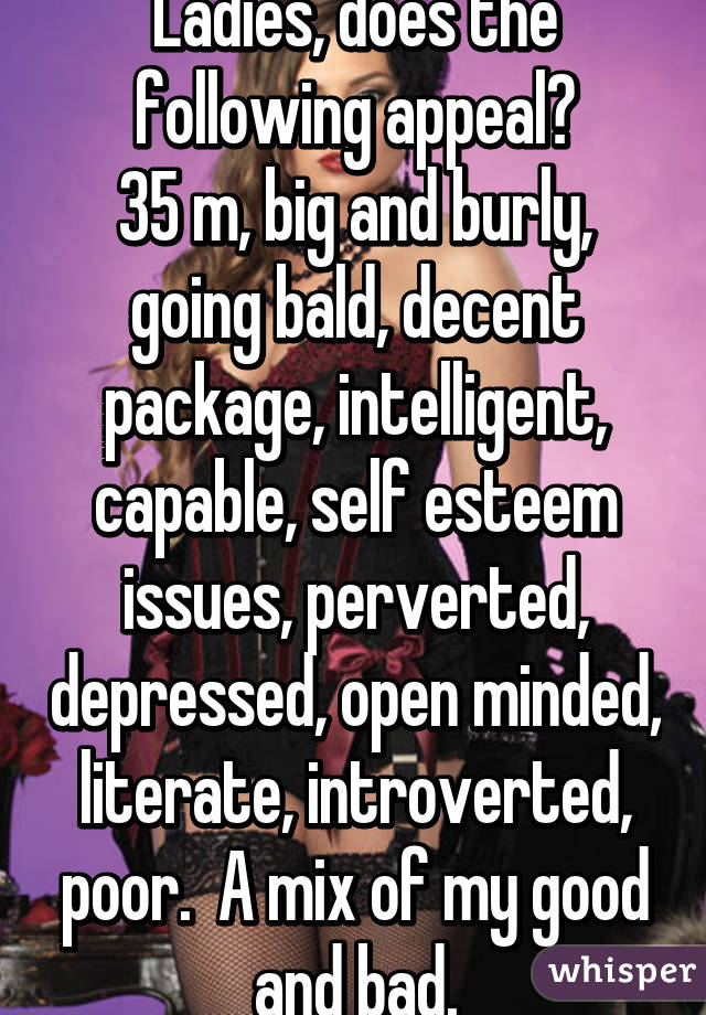 Ladies, does the following appeal?
35 m, big and burly, going bald, decent package, intelligent, capable, self esteem issues, perverted, depressed, open minded, literate, introverted, poor.  A mix of my good and bad.