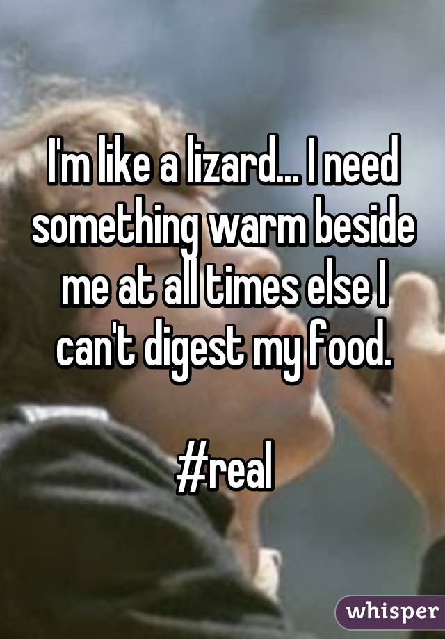 I'm like a lizard... I need something warm beside me at all times else I can't digest my food.

#real