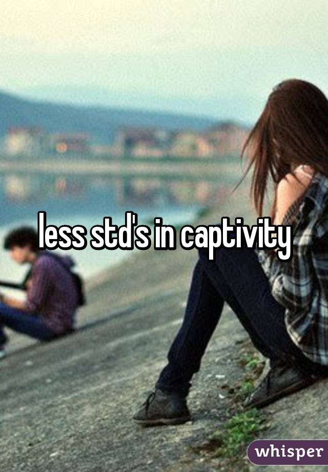 less std's in captivity