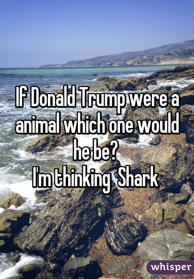 If Donald Trump were a animal which one would he be? 
I'm thinking  Shark 