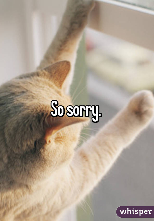  So sorry.  