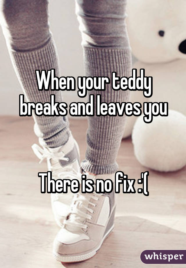 When your teddy breaks and leaves you


There is no fix :'(