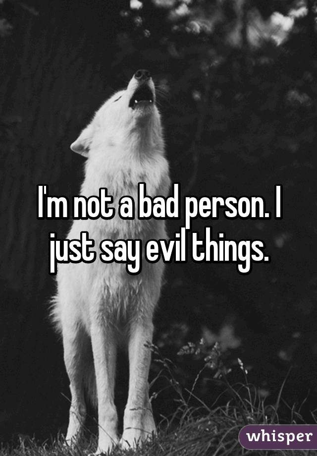 I'm not a bad person. I just say evil things.