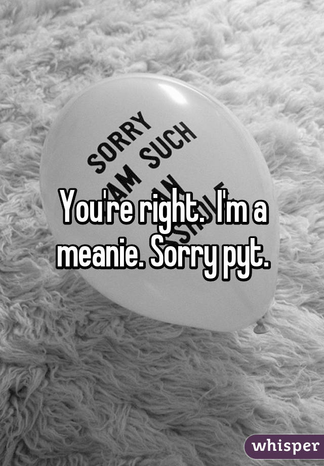 You're right.  I'm a meanie. Sorry pyt.