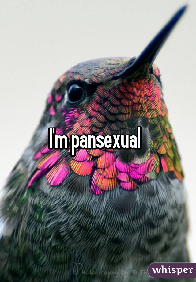 I'm pansexual  