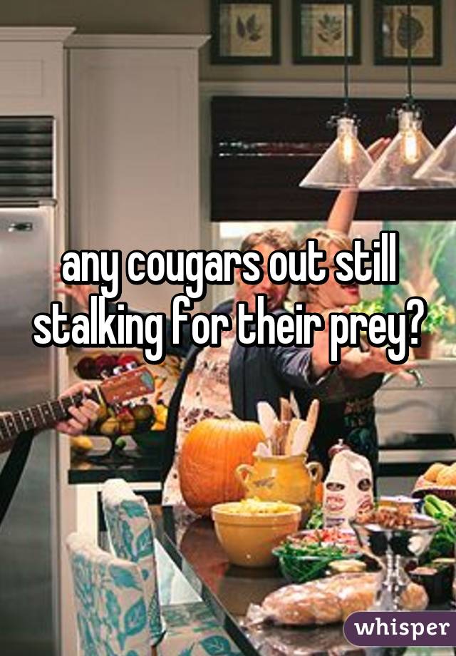 any cougars out still stalking for their prey? 