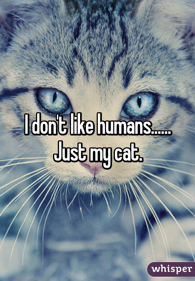 I don't like humans...... Just my cat.