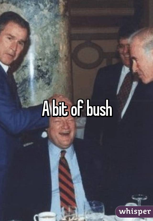 A bit of bush