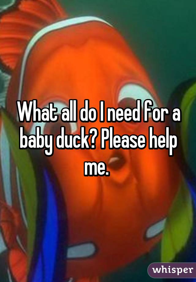 What all do I need for a baby duck? Please help me. 