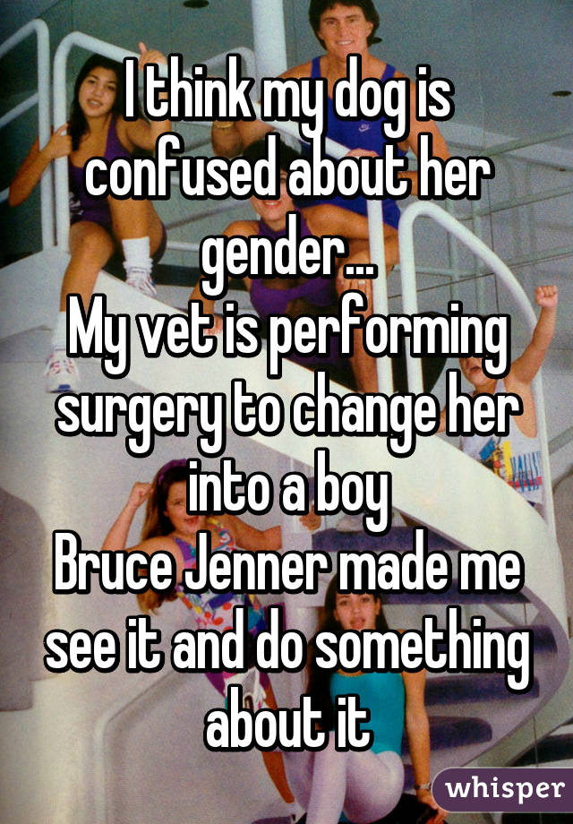 I think my dog is confused about her gender...
My vet is performing surgery to change her into a boy
Bruce Jenner made me see it and do something about it