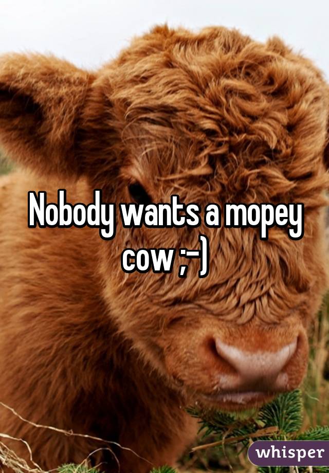 Nobody wants a mopey cow ;-)