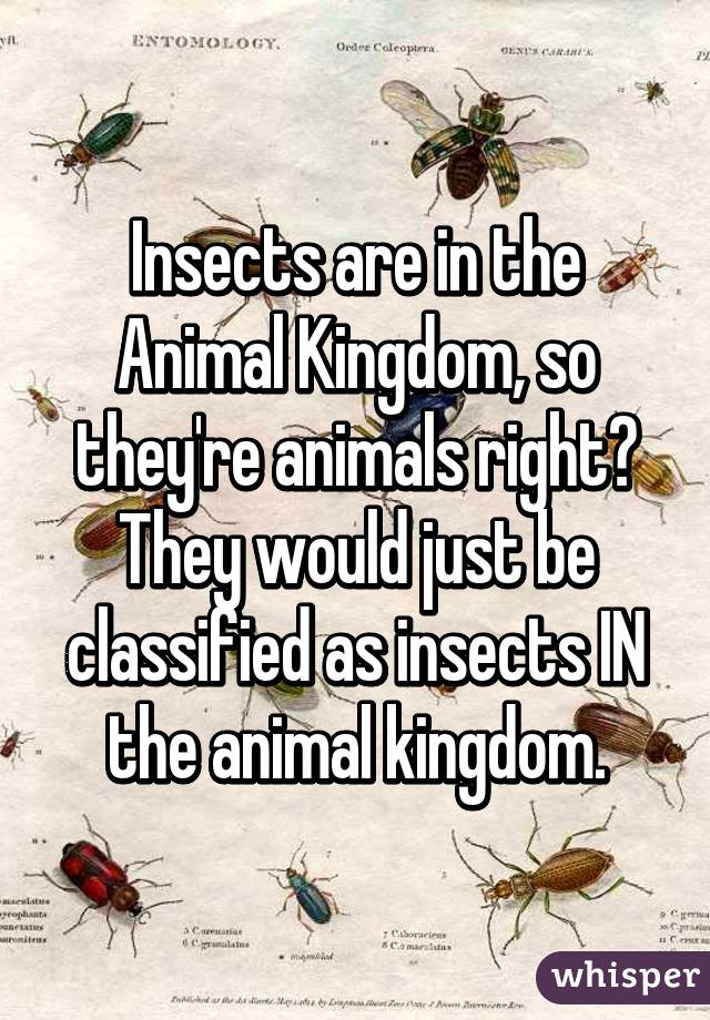 Insects are in the Animal Kingdom, so they're animals right? They would just be classified as insects IN the animal kingdom.