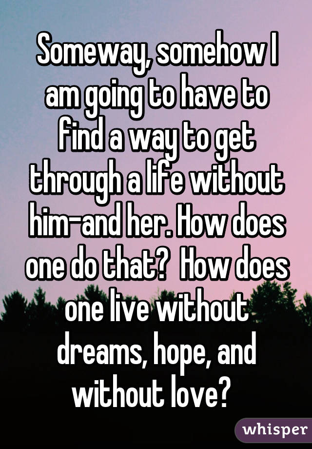 Someway, somehow I am going to have to find a way to get through a life without him-and her. How does one do that?  How does one live without dreams, hope, and without love?  