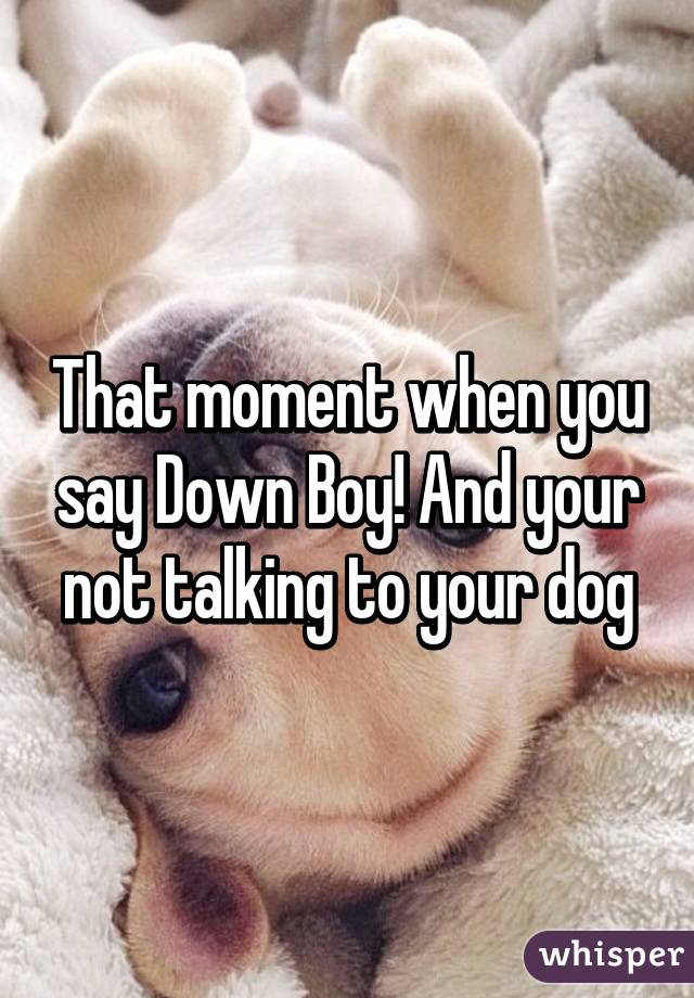 That moment when you say Down Boy! And your not talking to your dog