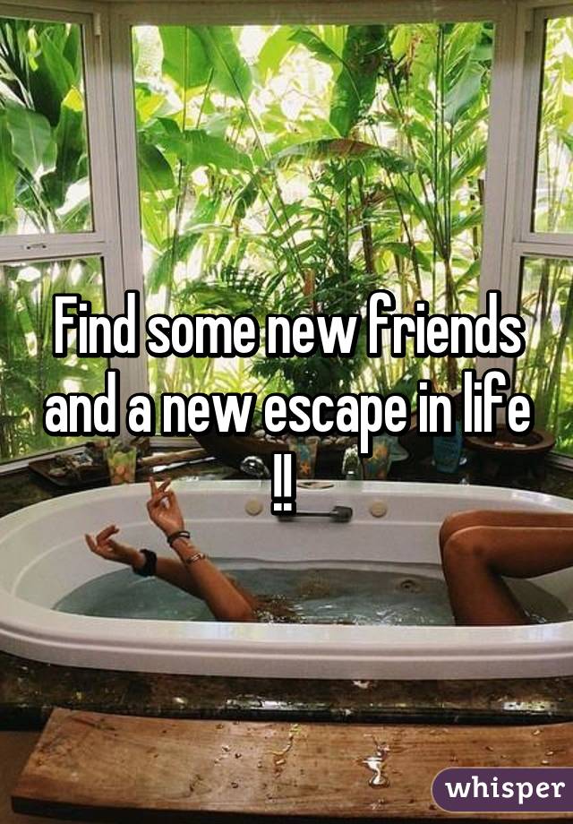 Find some new friends and a new escape in life !! 