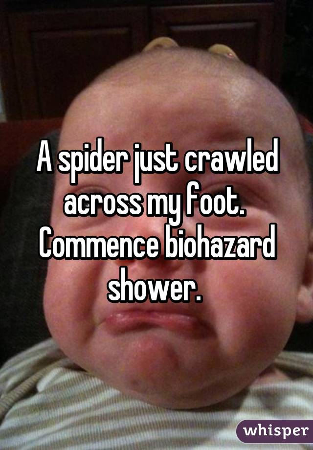 A spider just crawled across my foot. 
Commence biohazard shower. 