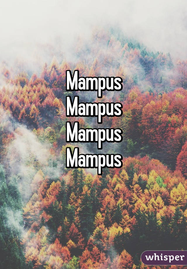 Mampus
Mampus
Mampus
Mampus
