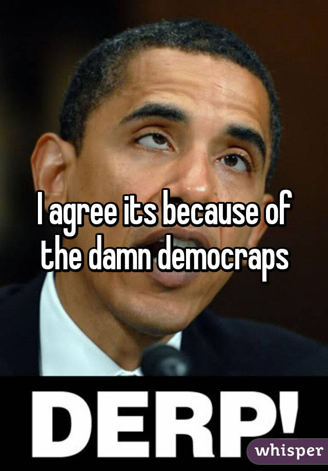 I agree its because of the damn democraps