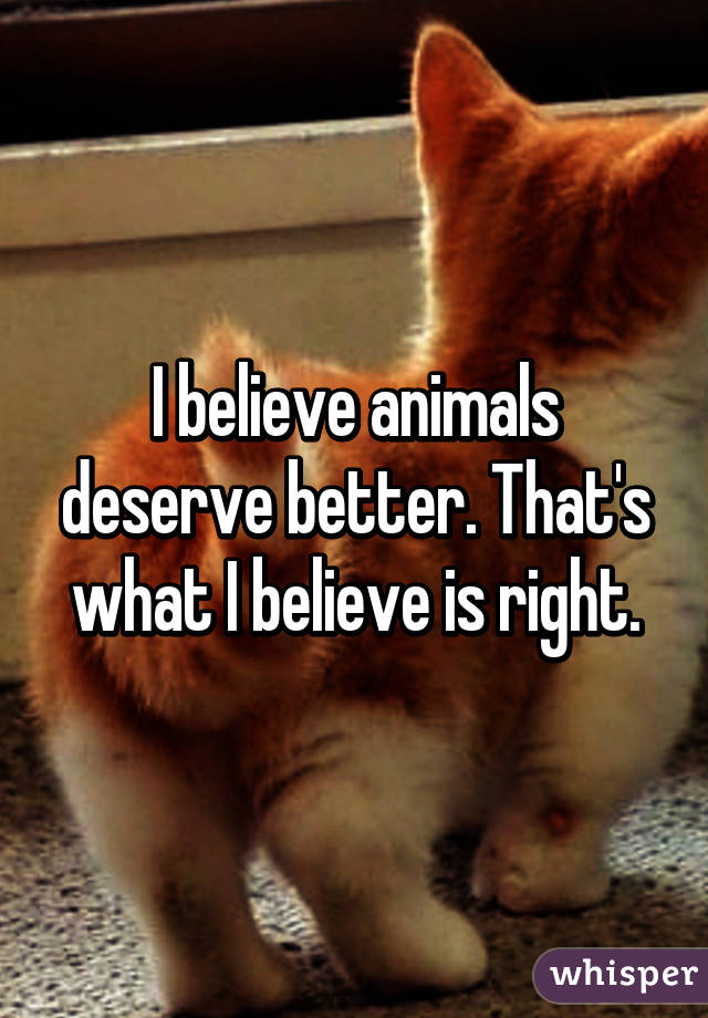 I believe animals deserve better. That's what I believe is right.