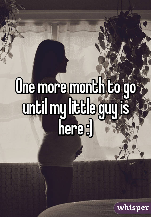 One more month to go until my little guy is here :)