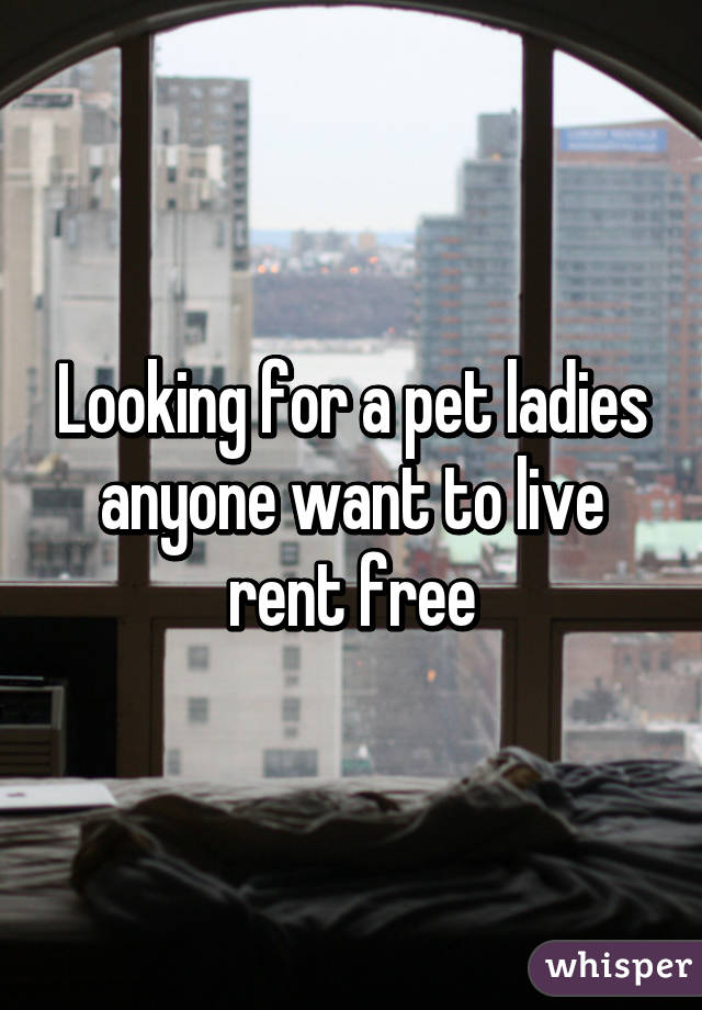 Looking for a pet ladies anyone want to live rent free