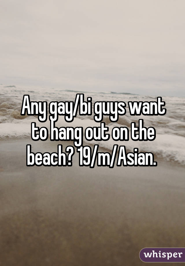 Any gay/bi guys want to hang out on the beach? 19/m/Asian. 