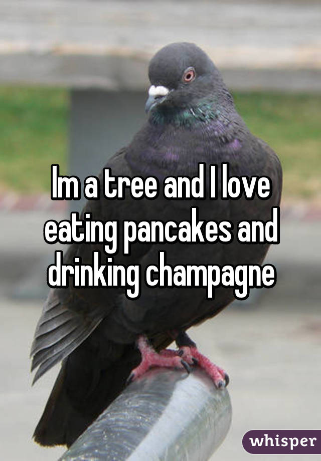 Im a tree and I love eating pancakes and drinking champagne