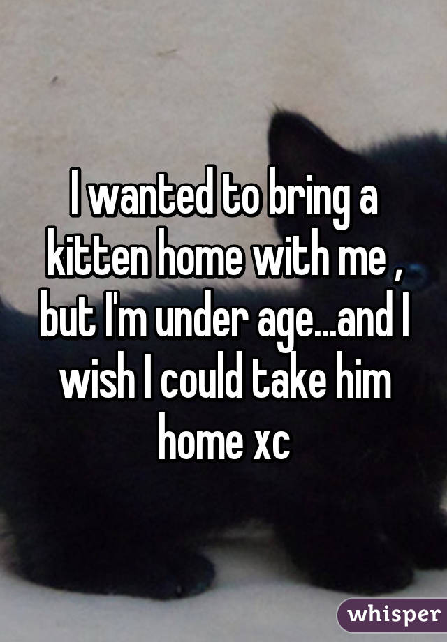 I wanted to bring a kitten home with me , but I'm under age...and I wish I could take him home xc