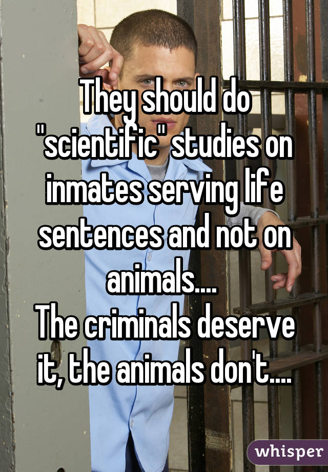 They should do "scientific" studies on inmates serving life sentences and not on animals.... 
The criminals deserve it, the animals don't....