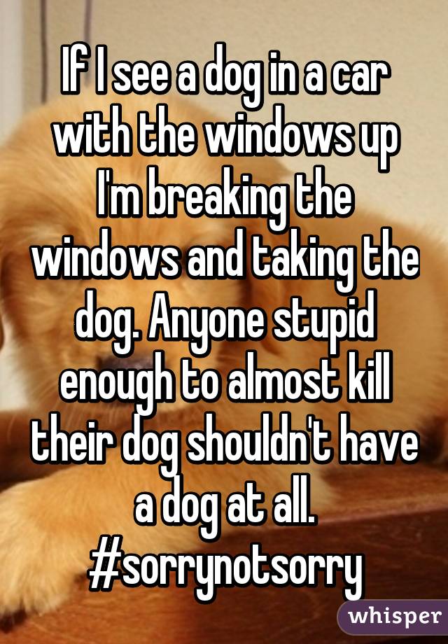 If I see a dog in a car with the windows up I'm breaking the windows and taking the dog. Anyone stupid enough to almost kill their dog shouldn't have a dog at all. #sorrynotsorry