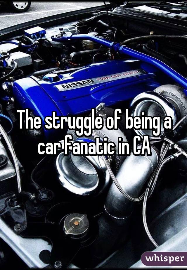 The struggle of being a car fanatic in CA