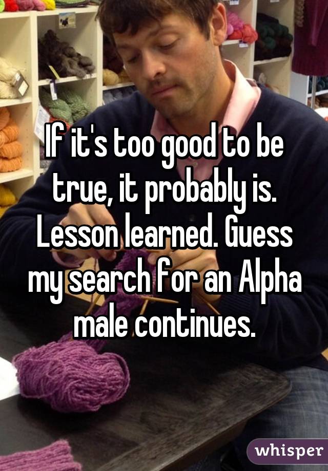 If it's too good to be true, it probably is. Lesson learned. Guess my search for an Alpha male continues.