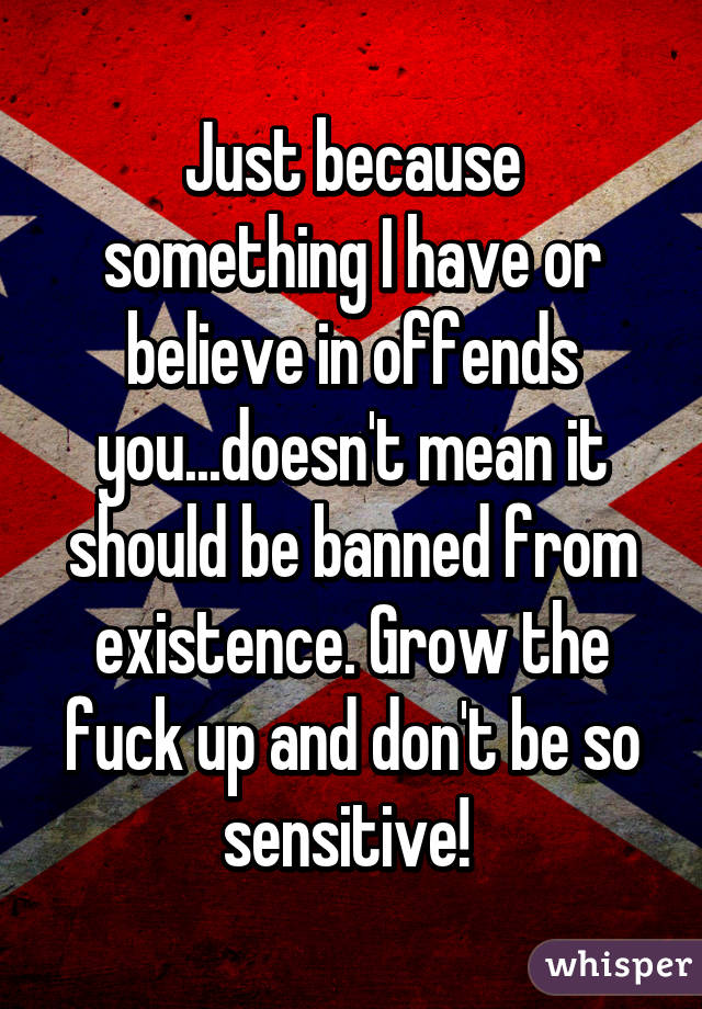 Just because something I have or believe in offends you...doesn't mean it should be banned from existence. Grow the fuck up and don't be so sensitive! 