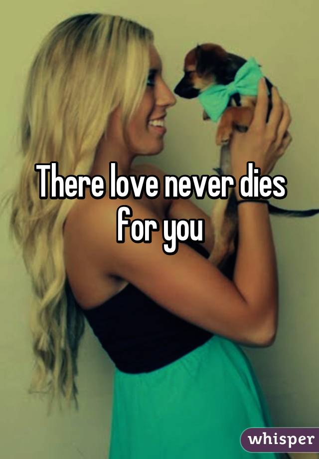 There love never dies for you
