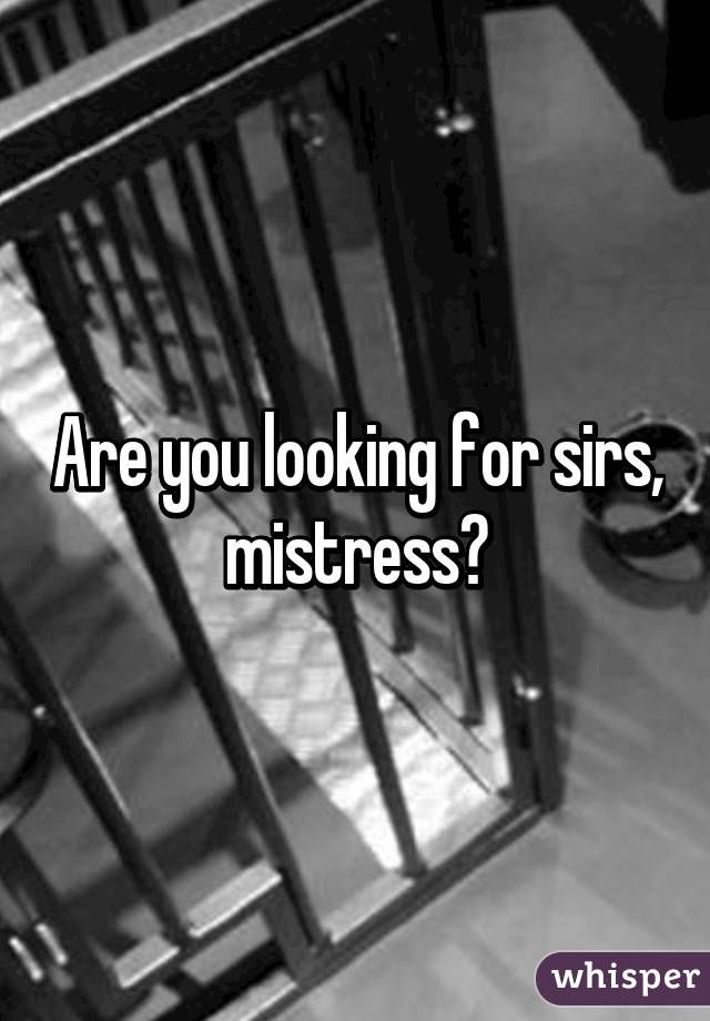 Are you looking for sirs, mistress?