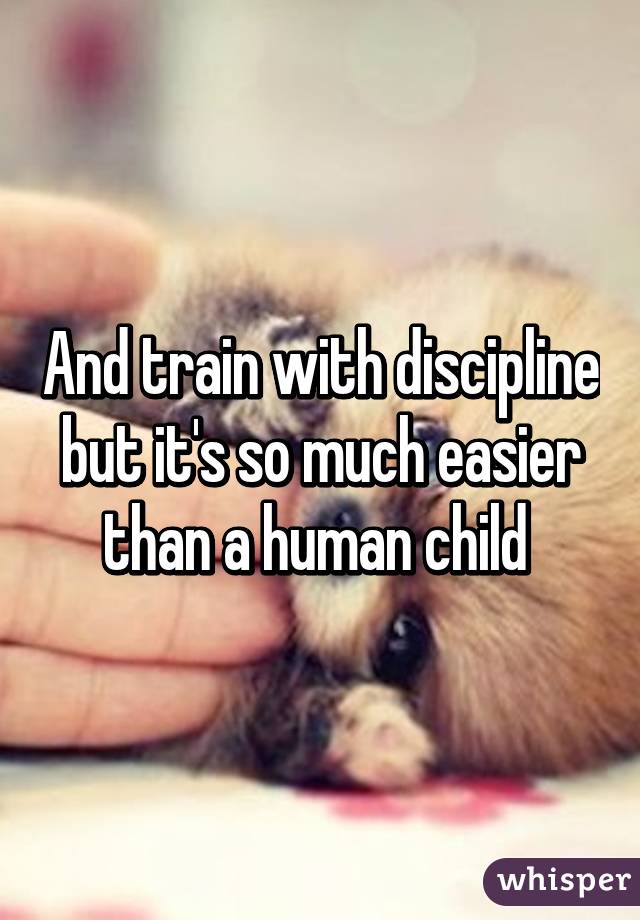 And train with discipline but it's so much easier than a human child 