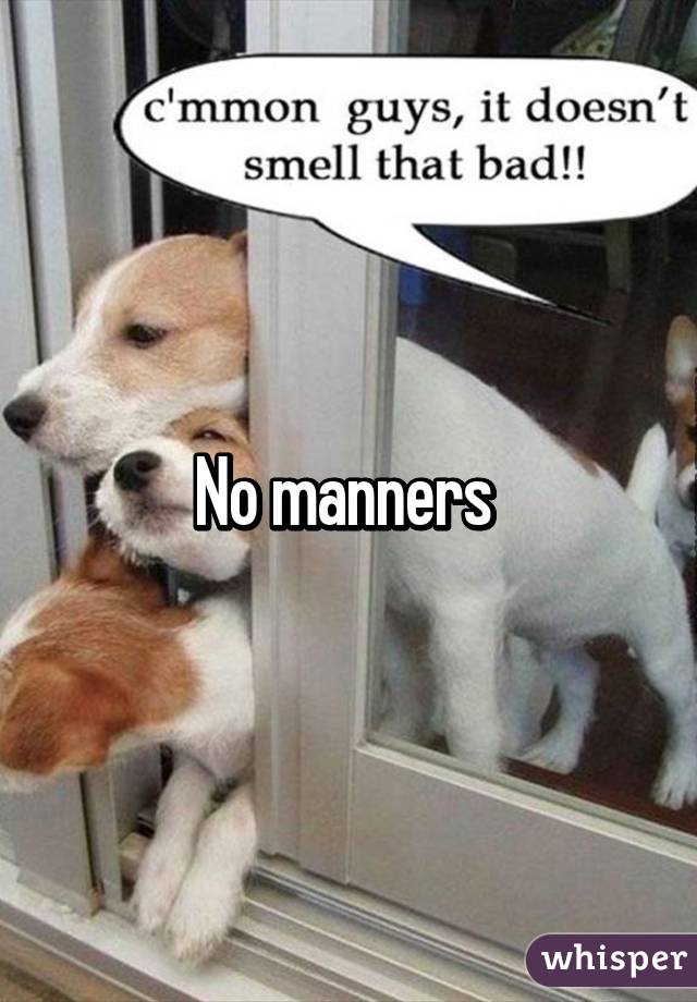 No manners 