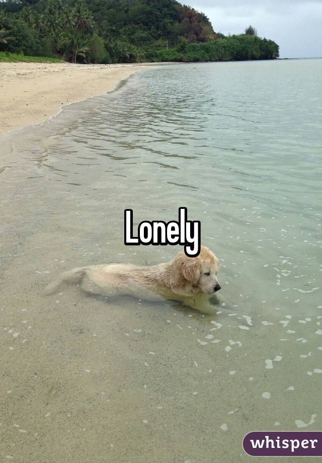 Lonely