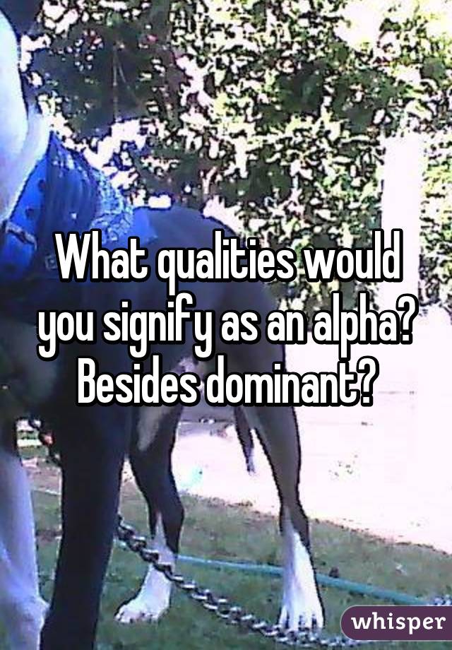 What qualities would you signify as an alpha? Besides dominant?