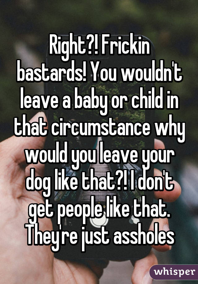 Right?! Frickin bastards! You wouldn't leave a baby or child in that circumstance why would you leave your dog like that?! I don't get people like that. They're just assholes