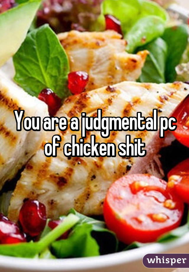 You are a judgmental pc of chicken shit