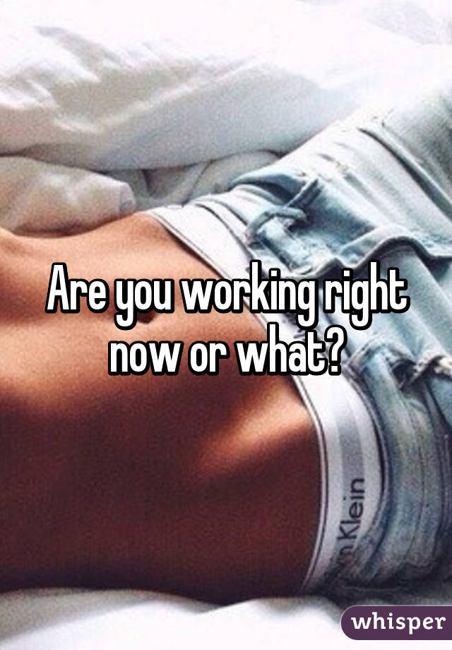 Are you working right now or what?