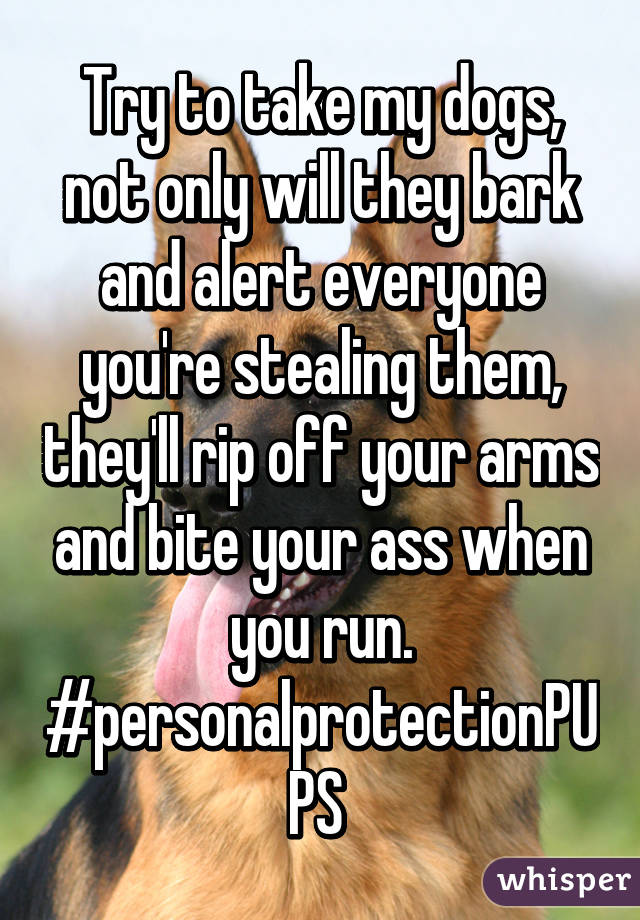 Try to take my dogs, not only will they bark and alert everyone you're stealing them, they'll rip off your arms and bite your ass when you run. #personalprotectionPUPS 