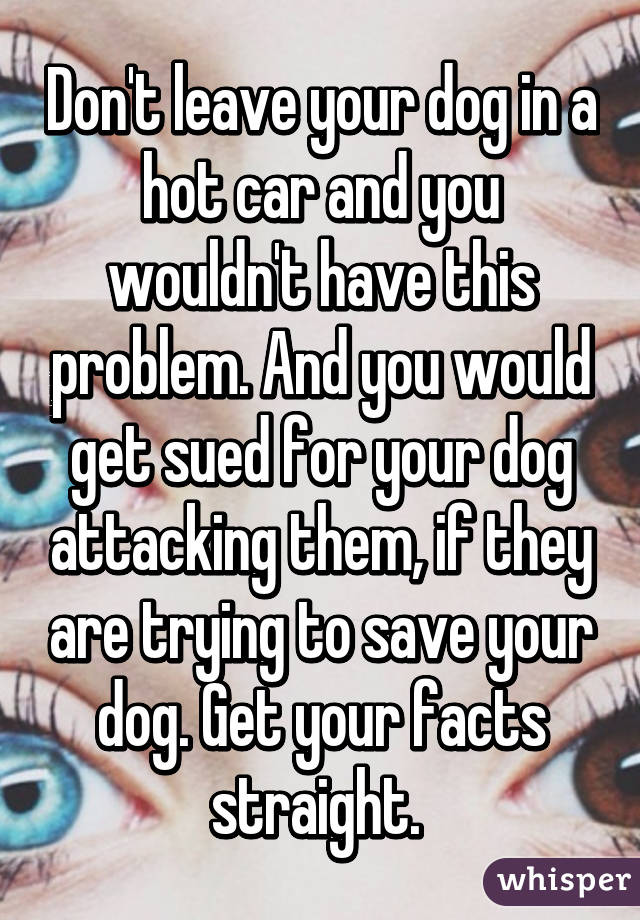 Don't leave your dog in a hot car and you wouldn't have this problem. And you would get sued for your dog attacking them, if they are trying to save your dog. Get your facts straight. 