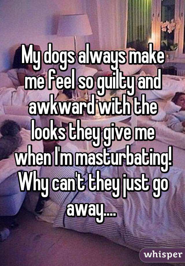 My dogs always make me feel so guilty and awkward with the looks they give me when I'm masturbating! Why can't they just go away.... 
